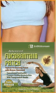 The FucoXanthin Patch system represents cutting-edge slimming technology, providing a natural, simple and discreet method of losing weight.