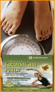 FucoXanthin-CR Diet Patch is easy to use, safe and effective!